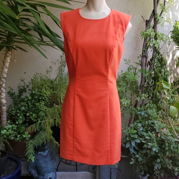 French Connection A-Line Dress with rounded neck - Picture 9 of 13